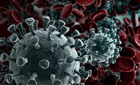 qornao|Coronavirus disease (COVID.